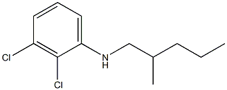 2,3-dichloro-N-(2-methylpentyl)aniline Struktur