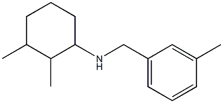 2,3-dimethyl-N-[(3-methylphenyl)methyl]cyclohexan-1-amine Struktur