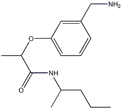 2-[3-(aminomethyl)phenoxy]-N-(pentan-2-yl)propanamide Struktur