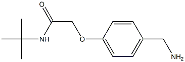 2-[4-(aminomethyl)phenoxy]-N-(tert-butyl)acetamide Struktur