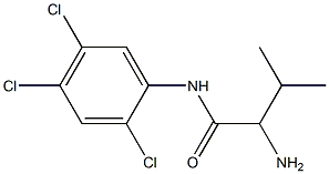 2-amino-3-methyl-N-(2,4,5-trichlorophenyl)butanamide Struktur