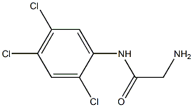 2-amino-N-(2,4,5-trichlorophenyl)acetamide Struktur