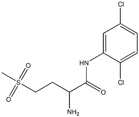 2-amino-N-(2,5-dichlorophenyl)-4-methanesulfonylbutanamide Struktur