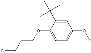 2-tert-butyl-1-(3-chloropropoxy)-4-methoxybenzene Struktur