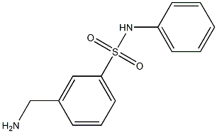 3-(aminomethyl)-N-phenylbenzenesulfonamide Struktur