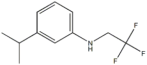 3-(propan-2-yl)-N-(2,2,2-trifluoroethyl)aniline Struktur