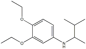 3,4-diethoxy-N-(3-methylbutan-2-yl)aniline Struktur