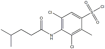 3,5-dichloro-2-methyl-4-(4-methylpentanamido)benzene-1-sulfonyl chloride Struktur