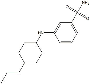 3-[(4-propylcyclohexyl)amino]benzene-1-sulfonamide Struktur