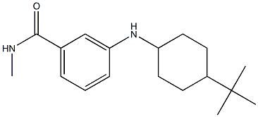 3-[(4-tert-butylcyclohexyl)amino]-N-methylbenzamide Struktur