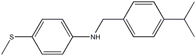 4-(methylsulfanyl)-N-{[4-(propan-2-yl)phenyl]methyl}aniline Struktur