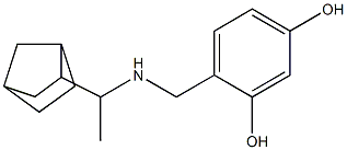 4-{[(1-{bicyclo[2.2.1]heptan-2-yl}ethyl)amino]methyl}benzene-1,3-diol Struktur