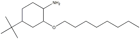 4-tert-butyl-2-(octyloxy)cyclohexan-1-amine Struktur