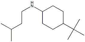 4-tert-butyl-N-(3-methylbutyl)cyclohexan-1-amine Struktur