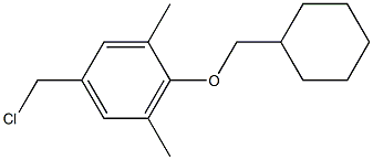 5-(chloromethyl)-2-(cyclohexylmethoxy)-1,3-dimethylbenzene Struktur