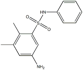 5-amino-2,3-dimethyl-N-phenylbenzene-1-sulfonamide Struktur