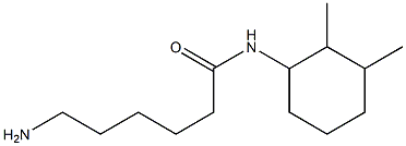 6-amino-N-(2,3-dimethylcyclohexyl)hexanamide Struktur