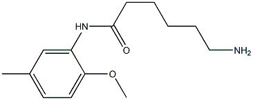 6-amino-N-(2-methoxy-5-methylphenyl)hexanamide Struktur