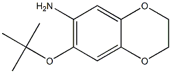 7-(tert-butoxy)-2,3-dihydro-1,4-benzodioxin-6-amine Struktur