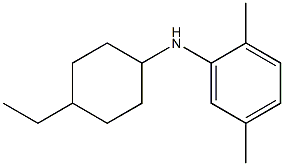 N-(4-ethylcyclohexyl)-2,5-dimethylaniline Struktur