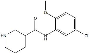 N-(5-chloro-2-methoxyphenyl)piperidine-3-carboxamide Struktur