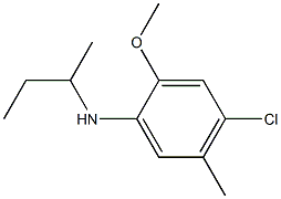 N-(butan-2-yl)-4-chloro-2-methoxy-5-methylaniline Struktur