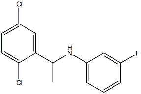 N-[1-(2,5-dichlorophenyl)ethyl]-3-fluoroaniline Struktur