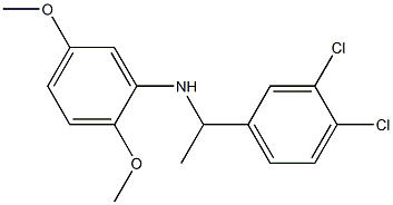 N-[1-(3,4-dichlorophenyl)ethyl]-2,5-dimethoxyaniline Struktur