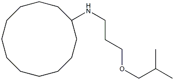 N-[3-(2-methylpropoxy)propyl]cyclododecanamine Struktur