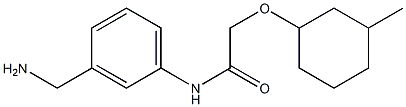 N-[3-(aminomethyl)phenyl]-2-[(3-methylcyclohexyl)oxy]acetamide Struktur