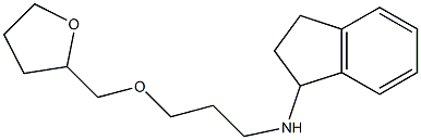 N-[3-(oxolan-2-ylmethoxy)propyl]-2,3-dihydro-1H-inden-1-amine Struktur