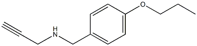 prop-2-yn-1-yl[(4-propoxyphenyl)methyl]amine Struktur