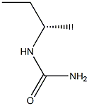 [S,(+)]-sec-Butylurea Struktur