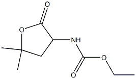 N-(2,3,4,5-Tetrahydro-5,5-dimethyl-2-oxofuran-3-yl)carbamic acid ethyl ester Struktur