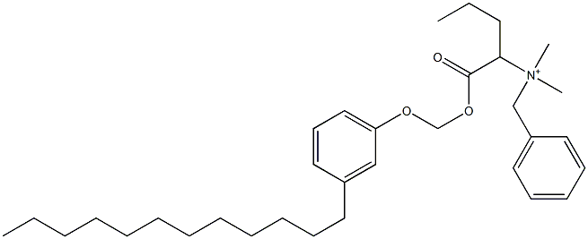 N,N-Dimethyl-N-benzyl-N-[1-[[(3-dodecylphenyloxy)methyl]oxycarbonyl]butyl]aminium Struktur