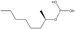 (-)-Phosphorous acid dihydrogen [(R)-1-methylheptyl] ester Struktur