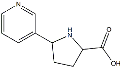 5-(3-Pyridyl)pyrrolidine-2-carboxylic acid Struktur