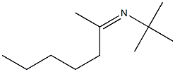 N-(tert-Butyl)-2-heptanimine Struktur