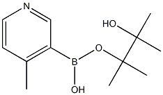 4-Methylpyridine-3-boronic acid pinacol ester Struktur