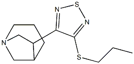 6-(3-propylthio-1,2,5-thiadiazol-4-yl)-1-azabicyclo(3.2.1)octane Struktur