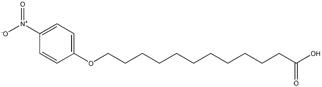 p-nitrophenoxydodecanoic acid Struktur