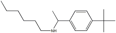 [1-(4-tert-butylphenyl)ethyl](hexyl)amine Struktur