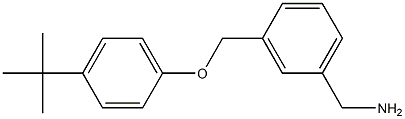 [3-(4-tert-butylphenoxymethyl)phenyl]methanamine Struktur