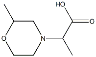 2-(2-methylmorpholin-4-yl)propanoic acid Struktur