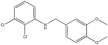 2,3-dichloro-N-[(3,4-dimethoxyphenyl)methyl]aniline Struktur