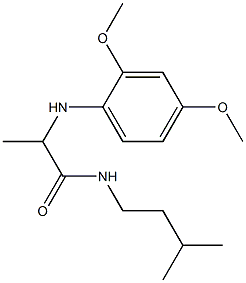 2-[(2,4-dimethoxyphenyl)amino]-N-(3-methylbutyl)propanamide Struktur