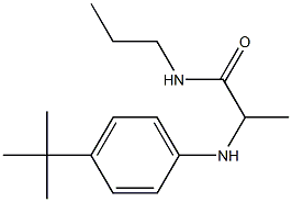 2-[(4-tert-butylphenyl)amino]-N-propylpropanamide Struktur