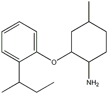 2-[2-(butan-2-yl)phenoxy]-4-methylcyclohexan-1-amine Struktur