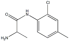 2-amino-N-(2-chloro-4-methylphenyl)propanamide Struktur