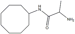 2-amino-N-cyclooctylpropanamide Struktur